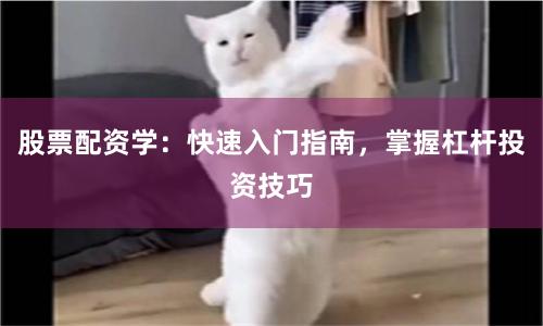 股票配资学：快速入门指南，掌握杠杆投资技巧