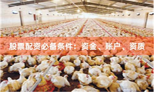 股票配资必备条件：资金、账户、资质